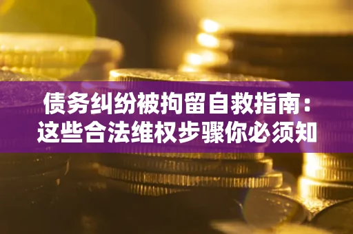 济南债务纠纷被拘留自救指南：这些合法维权步骤你必须知道！
